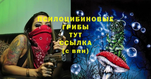 прущий лед Ельня