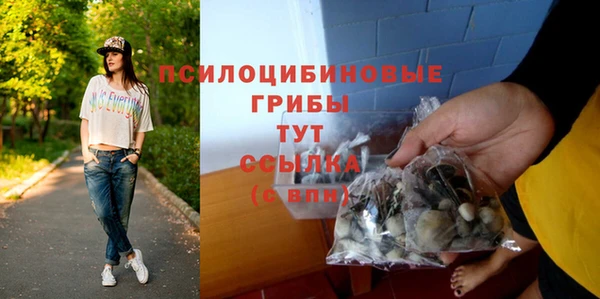 прущий лед Ельня