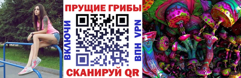 Галлюциногенные грибы прущие грибы  Жердевка 